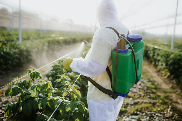 Columbia Heights, MN Pest Control Company